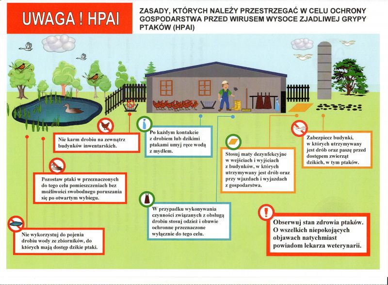 Plakat Uwaga na grypę ptaków HPAI